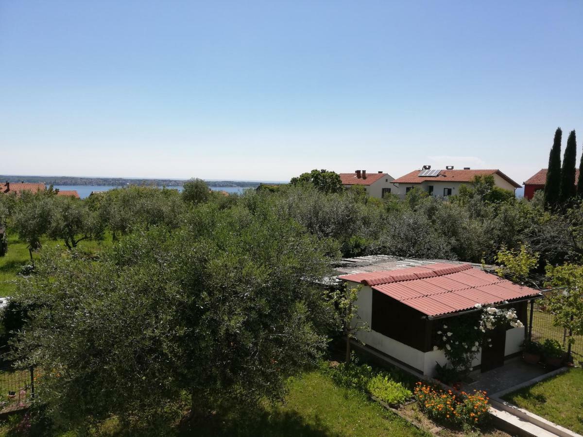 פיראן Apartma Iva מראה חיצוני תמונה